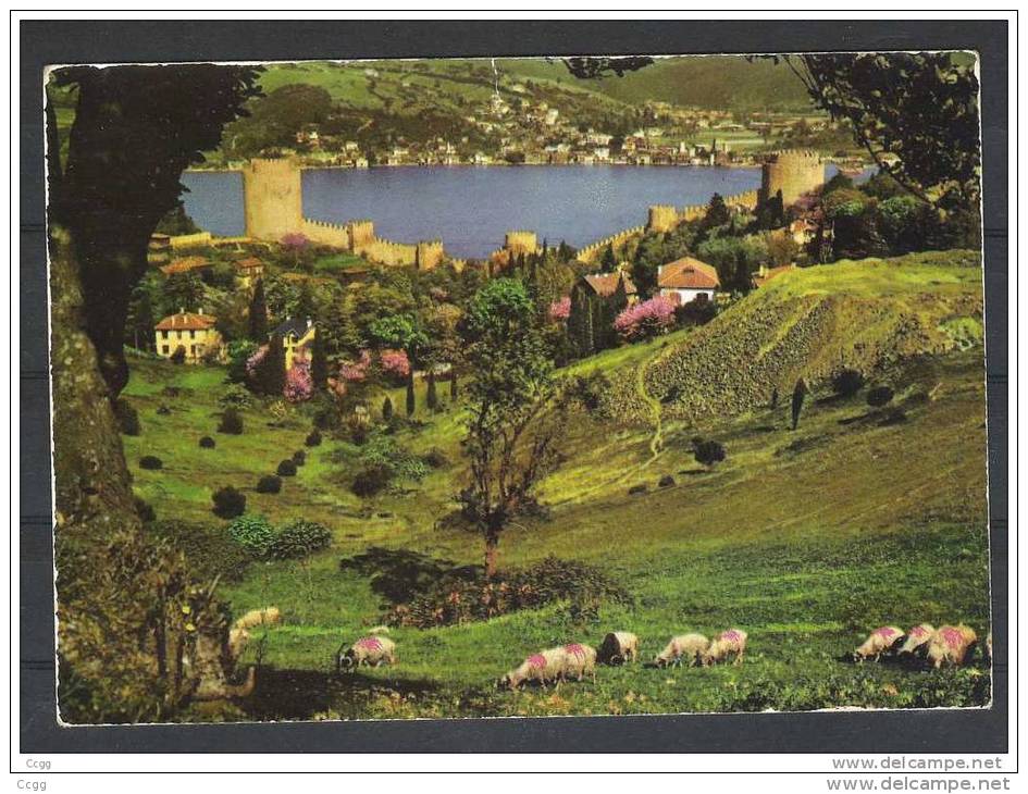 The Rumeli Hisari Castle And Bosphores ,Istanbul - Türkei