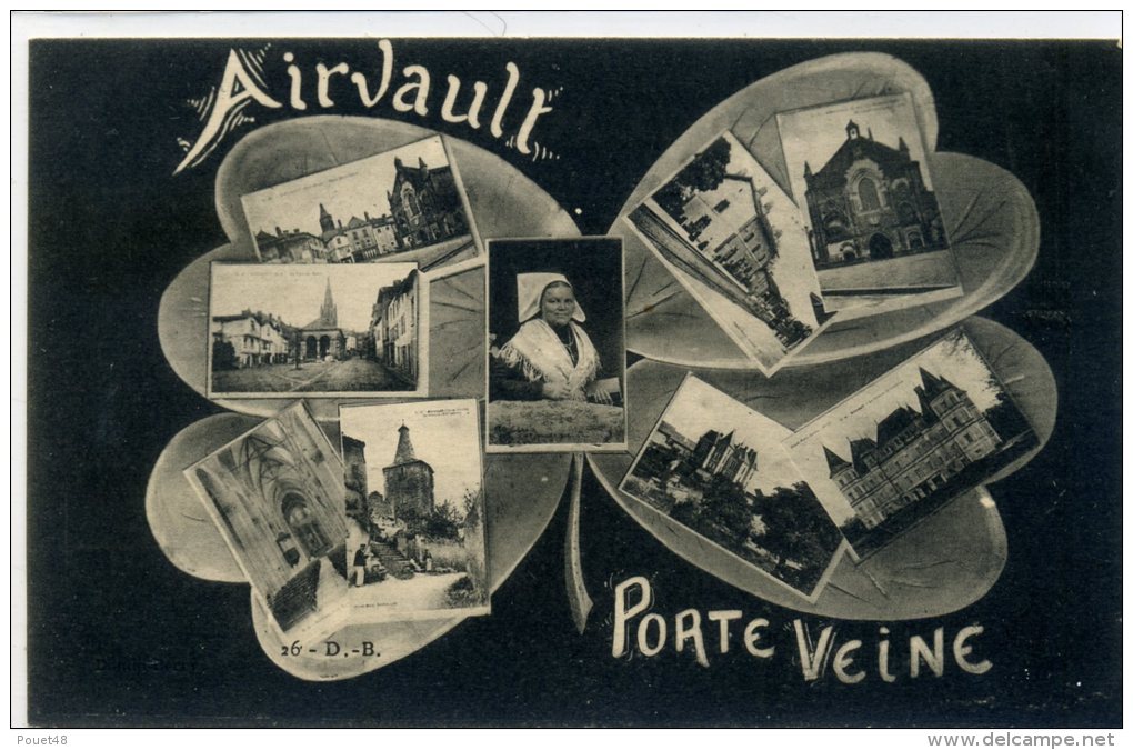 79 - AIRVAULT  Porte Veine , Multivues - Airvault