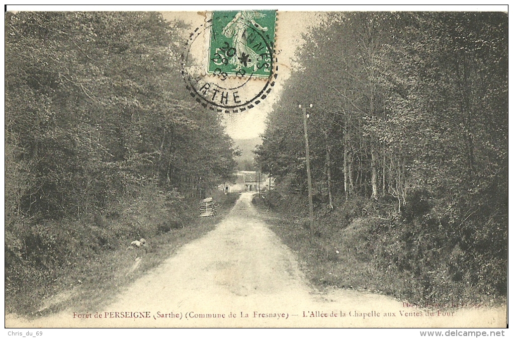 Foret De Perseigne Commune De La Fresnaye L Allee De La Chapelle Aux Ventes Du Four - La Fresnaye Sur Chédouet