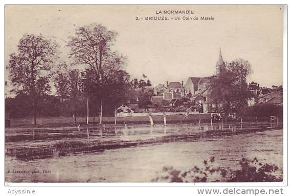 61 BRIOUZE - Un Coin Du Marais - D12 52 - Briouze