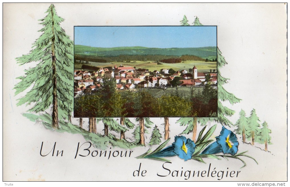 UN BONJOUR DE SAIGNELEGIER - Saignelégier