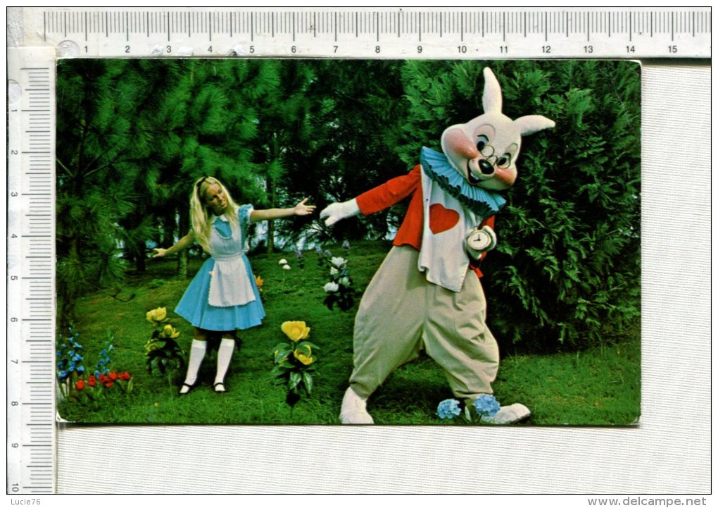 HURRY ALICE.....   WE"RE LATE  -   The White Rabbit Hurriedly Leads Alice Through The Wonderland Of The MAGIIC KINGDOM - Disneyworld