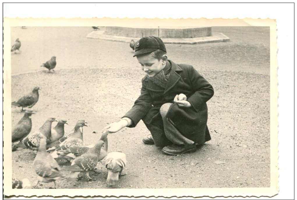 Scénes Enfants - Photo - Garçon Donnant à Mangé Aux Pigeons - Date Dos Fin 52 - Scènes & Paysages