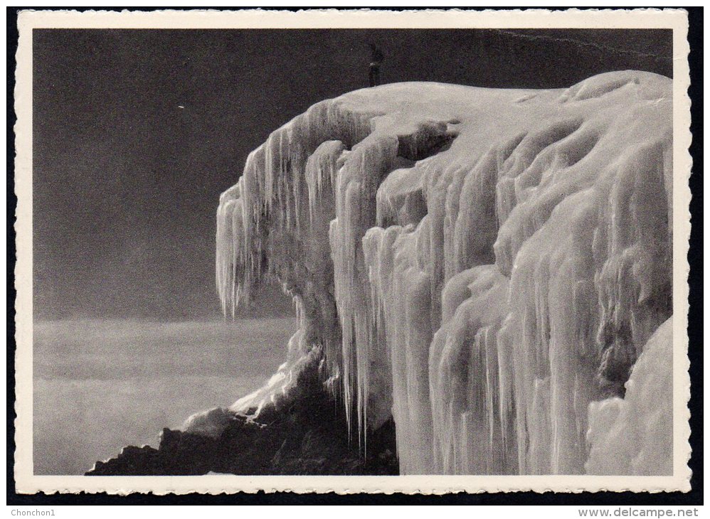 Congo - Carte Postale Neuve - Ruwenzori - A 5119 M D'altitude La Neige Sous L'équateur - Glacier - CP1 - Belgisch-Kongo