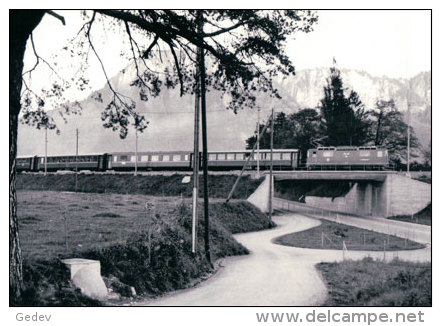 Chemin De Fer Des Grisons, Train Près De Landquart, Photo 1975 BVA, RhB 231.1 - Landquart