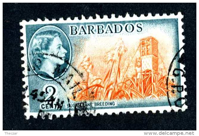 6299x)  Barbados 1954  ~ SG # 290  Used~ Offers Welcome! - Barbados (...-1966)