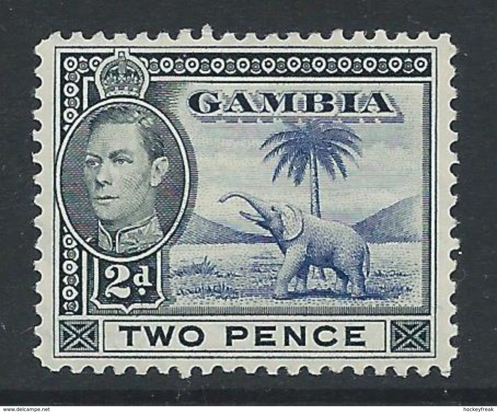 Gambia 1938 - 2d  Blue & Black 'Elephant' SG153 HM - Cat £15 SG2018 For MNH - Gambie (...-1964)