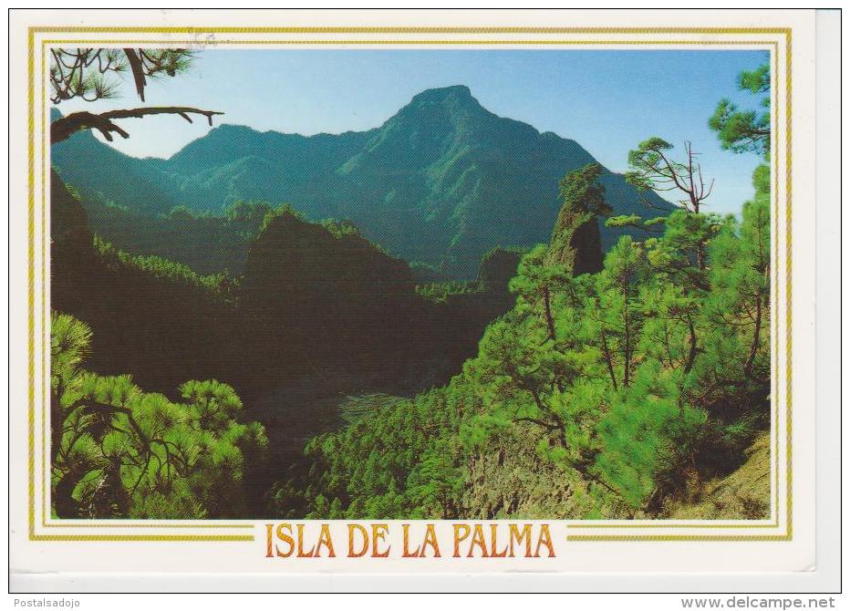 (AKO271) LA PALMA. PN CALDERA DE TABURIENTE - La Palma