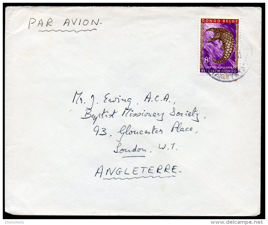 Congo - Stanleyville (keach Type 12B(L)1-) - Angleterre -england - Animals - 195? - CP1 - Briefe U. Dokumente