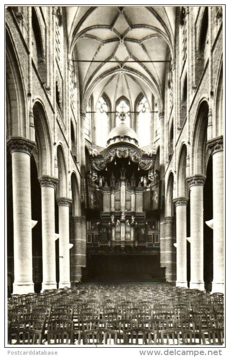 Grote Magdalenakerk Goes - & Orgel, Organ, Orgue - Goes