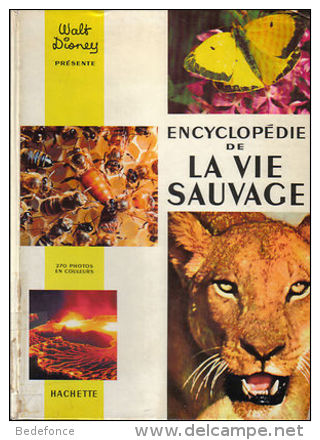 Encyclopédie De La Vie Sauvage - Walt Disney Présente - Encyclopedieën