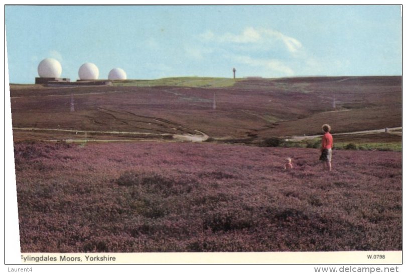 (111) UK - Yorkshire - Flylingdales Moors - Astronomy