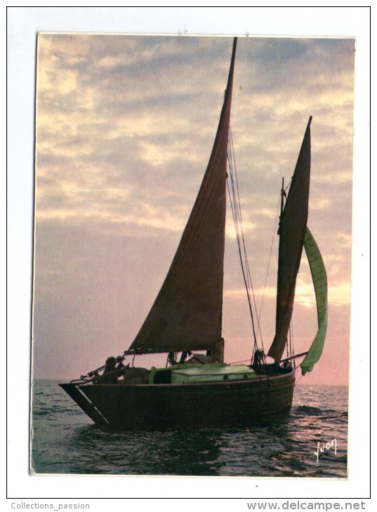 Cp , SPORTS , VOILE , Plaisir De La Voile , Voiliers , Phot : G Le Cossec  ,ed :Yvon , N° 10-2438 , VIERGE - Sailing