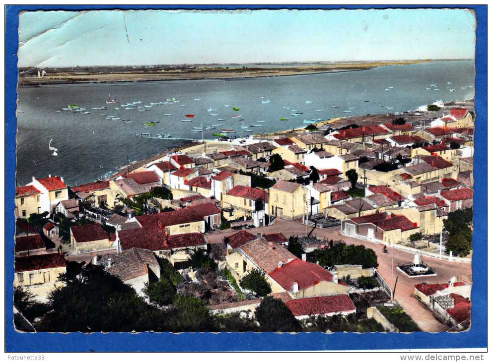 17 EN AVION AU DESSUS DE PORT DES BARQUES  VUE GENERALE ET LE PORT CARTE PHOTO AERIENNE COULEUR DENTELEE - Other & Unclassified