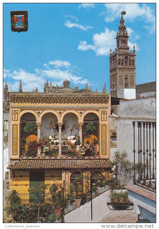 Cp , ESPAGNE , SEVILLA , Hostal Monreal - Sevilla