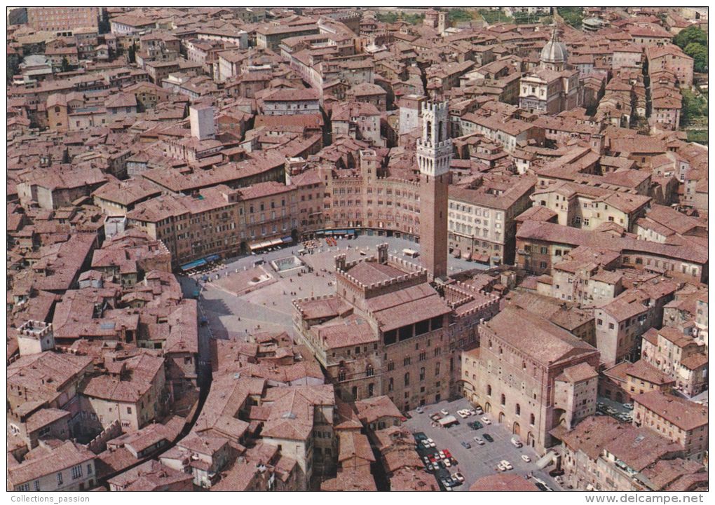 Cp , ITALIE , SIENA , Vue Aérienne , Place Du Marché - Siena