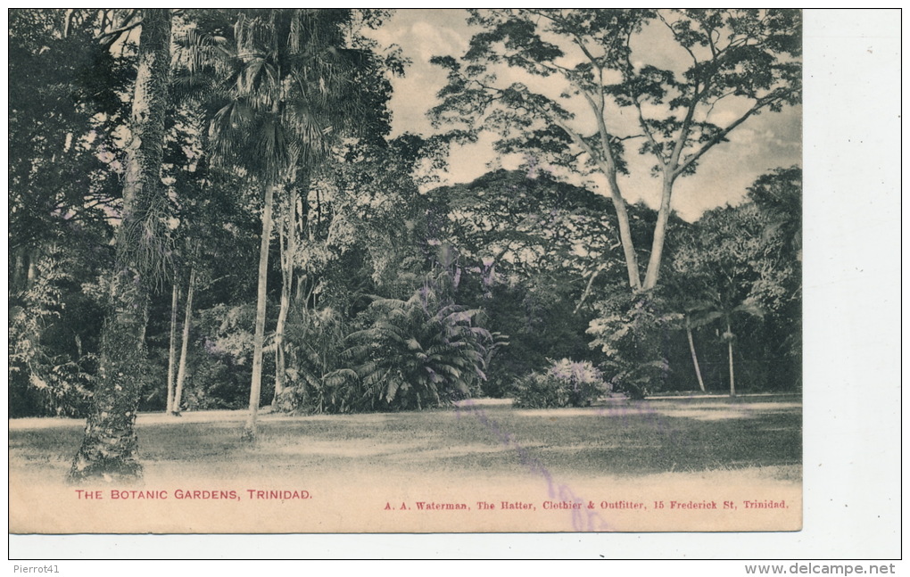 AMERIQUE - ANTILLES - TRINIDAD - The Botanic Gardens - Trinidad