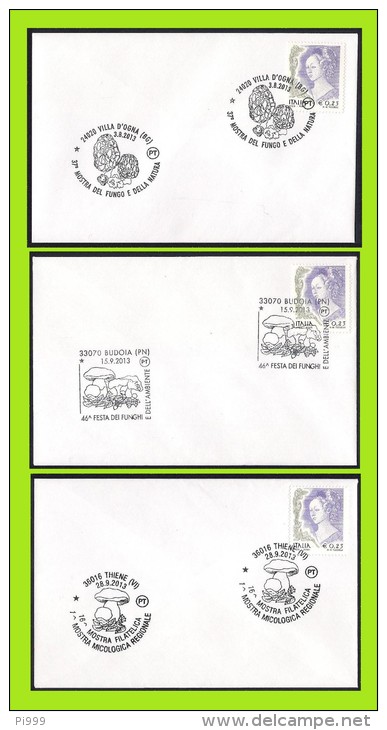 Italia Italy - Special Postmarks (2013): Funghi, Mushrooms, Champignons [3 Covers As Scan] - Champignons
