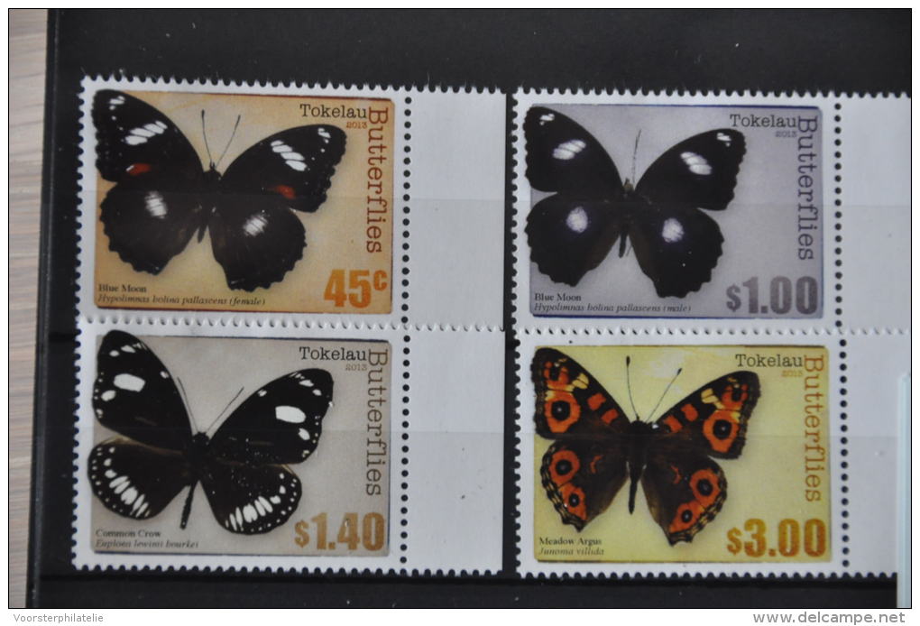 M 15 ++ TOKELAU 2013 BIRD VLINDER BUTTERFLY PAPILLON SCHMETTERLING MNH ** - Tokelau