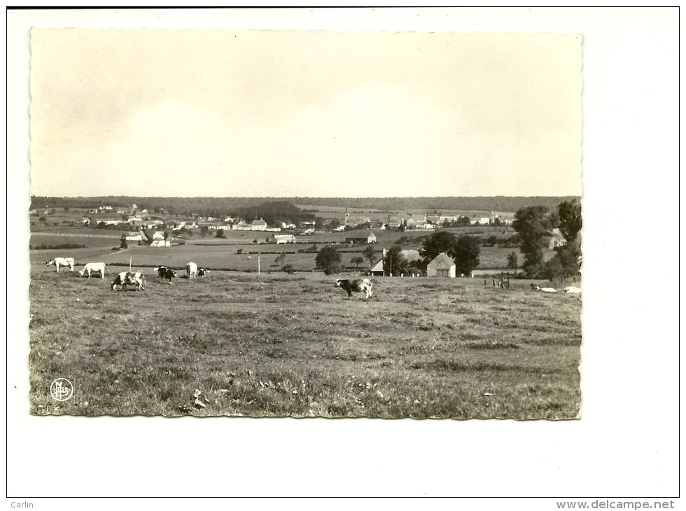 Rance Panorama ( Vaches ) - Sivry-Rance