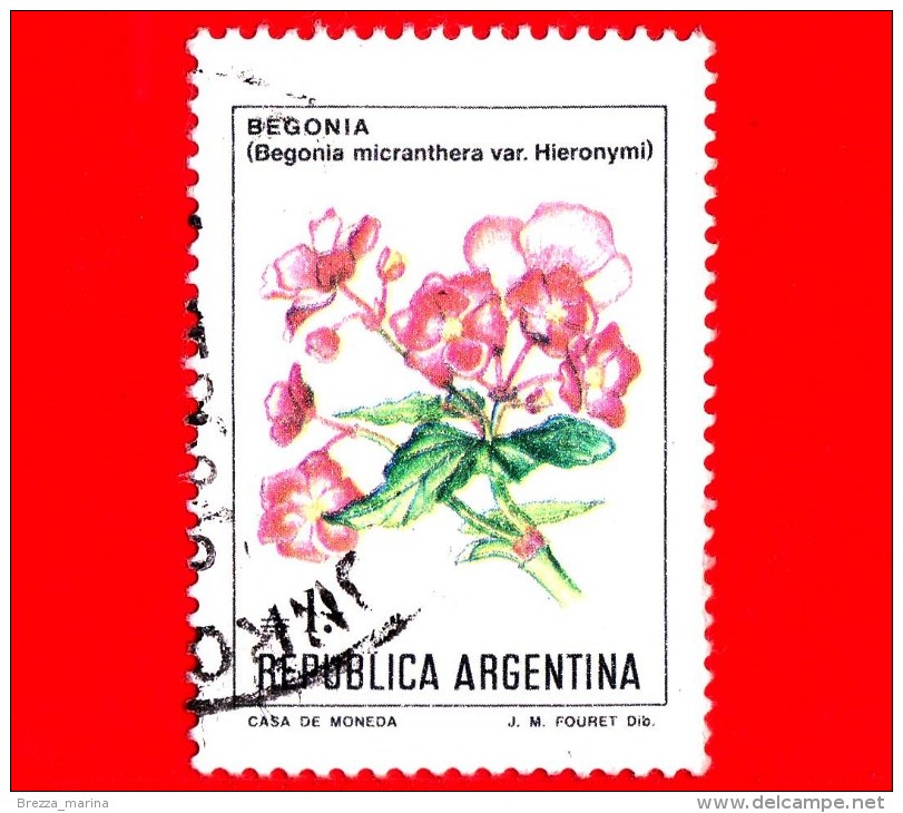 ARGENTINA - Usato -  1985 - Fiori - Flowers - Fleurs - Begonia Micranthera - 1 - Gebraucht