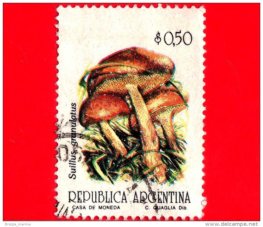 ARGENTINA - Usato -  1993 - Funghi - Mushrooms - Suillus Granulatus - 0.50 - Usados