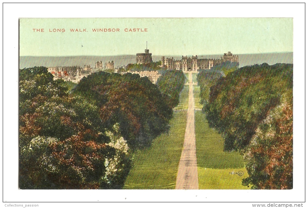Cp, Angleterre, Windsor Castle, The Long Walk - Windsor Castle