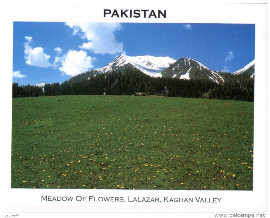 (136) Pakistan - Kaghan Valley - Pakistan