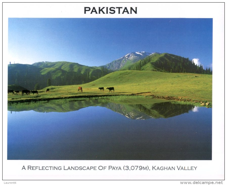 (136) Pakistan - Kaghan Valley - Pakistan