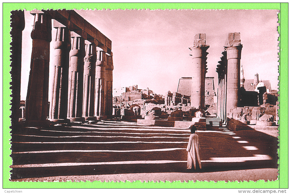 LUXOR / LE TEMPLE.... / Carte Vierge - Luxor