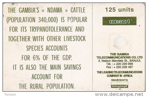 Gambia, GAM-D10, 125 Units, Abyssinian Roller, Cows, 2 Scans. - Gambie