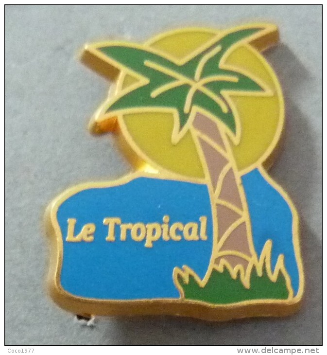 PIN´S PALMIER LE TROPICAL ZAMAC - Other & Unclassified