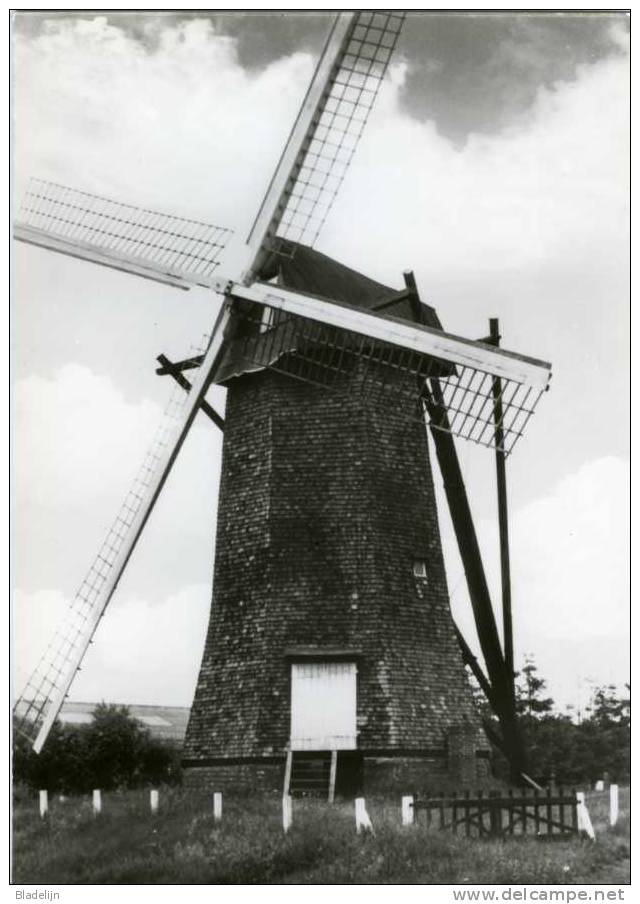 ARENDONK (Antw.) - Molen/moulin - Zeldzame Achtkante Houten Molen "De Toreman" Of "Steendonker (1974). - Arendonk