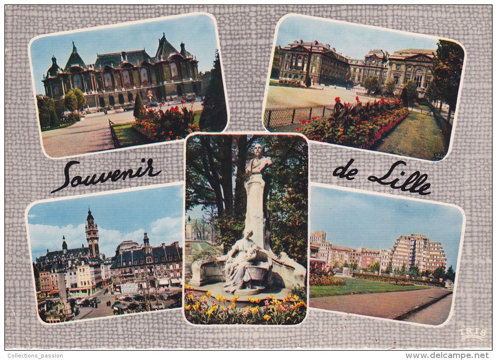 Cp , 59 , LILLE , Souvenir , Multi-Vues - Lille