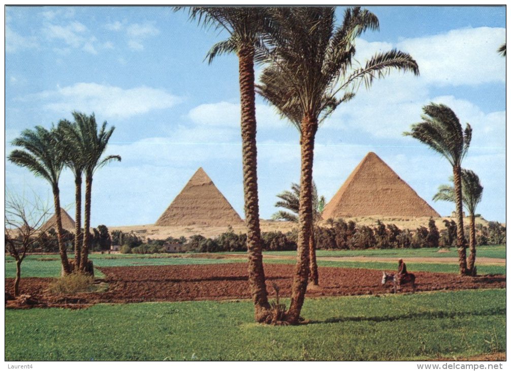 (314) Egypt - Giza Pyramid - Gizeh