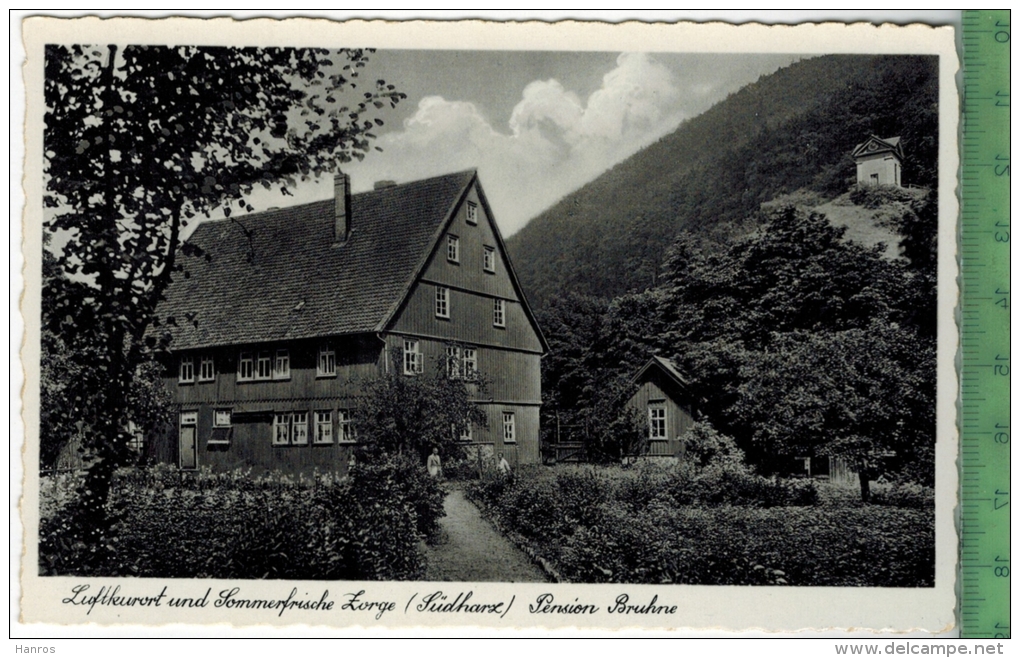 Zorge (Südharz), Pension Bruhne 1950/1960,  Verlag: Carl Rauschenbach, Zorge,  POSTKARTE, Erhaltung: I-II, - Osterode