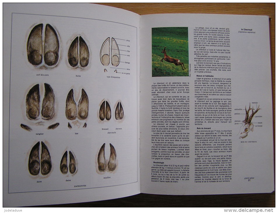 LA CHASSE Larousse Villenave J-P  Armes Modes Aménagement Braconnage Contre- Braconnage Maladies Réglementation France - Caza/Pezca