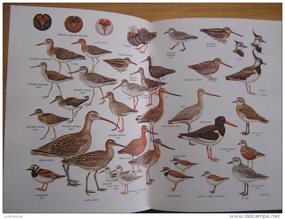 LA CHASSE Larousse Villenave J-P  Armes Modes Aménagement Braconnage Contre- Braconnage Maladies Réglementation France