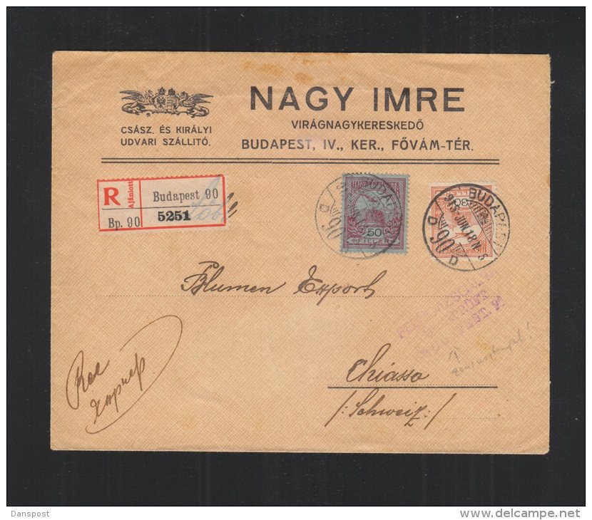 Hungary Registered Cover 1915 To Switzerland - Covers & Documents