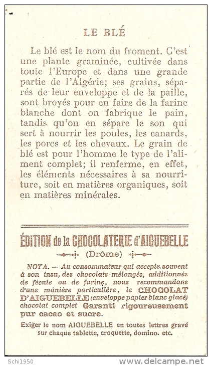 CHOCOLAT D'AIGUEBELLE  .   LES BONS GRAINS  . - Publicité