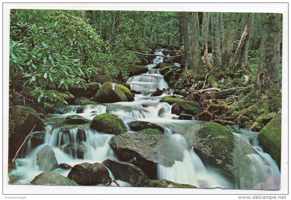 This A View Of Leconte Creek Below Rainbow Falls On The Side Of Mt. LeConte - USA - Smokey Mountains