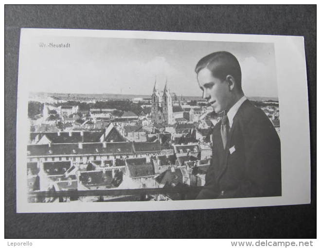 AK WIENER NEUSTADT Photo Collage  Ca.1940  //  D*9184 - Wiener Neustadt