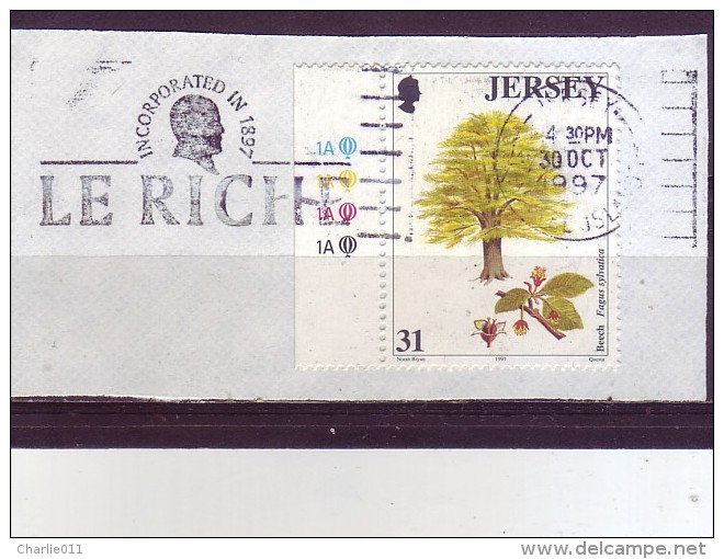 TREE-BEECH-31 P-FAGUS SYLVATICA-PLATE-POSTMARK- LE RICHE-JERSEY-1997 - Sin Clasificación