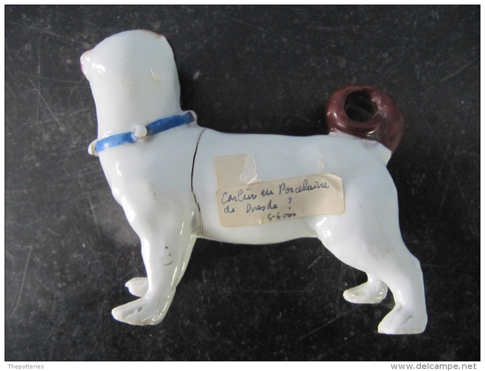 37 / Carlin Chien Dog Franc Maçon Porcelaine Porzellen Porcelain Desde ? XVIIIe ? Franc-maçonnerie Masonic Meissen - Dresdner Porzellan (DEU)