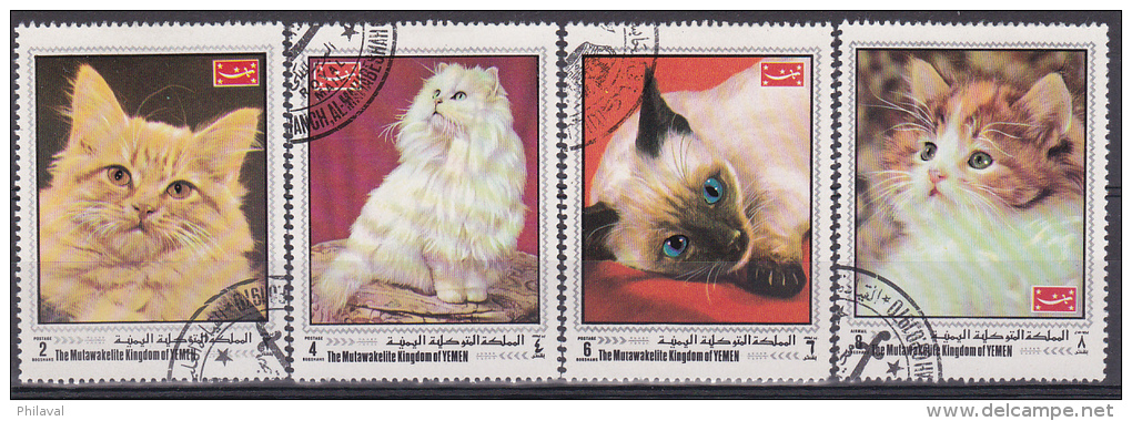 Chats  : Petit Lot De 4 Timbres - Chats Domestiques