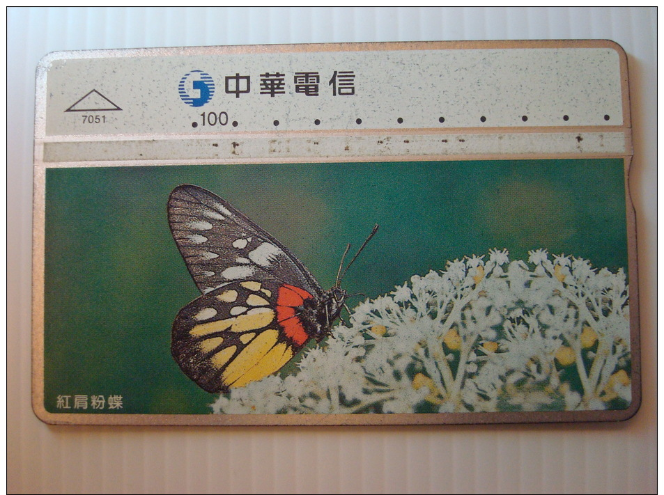 Taiwan Phonecards: Delias Pasithoe Curasena Fruhstorfer#7051 - Taiwán (Formosa)