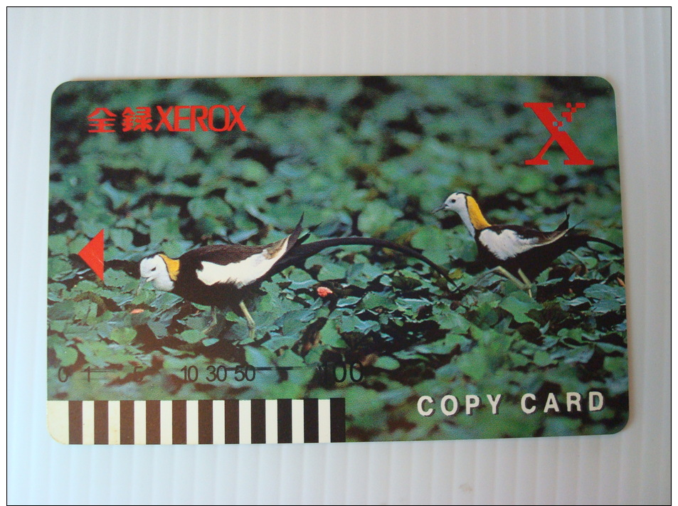 Xerox Prepaid Copy Card: Pheasant-tailed Jacana - Unclassified