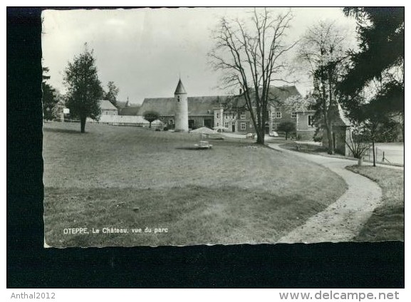 Oteppe La Chateau Vue Du Parc Turm Automoil VW 1200 Sw 60er - Burdinne