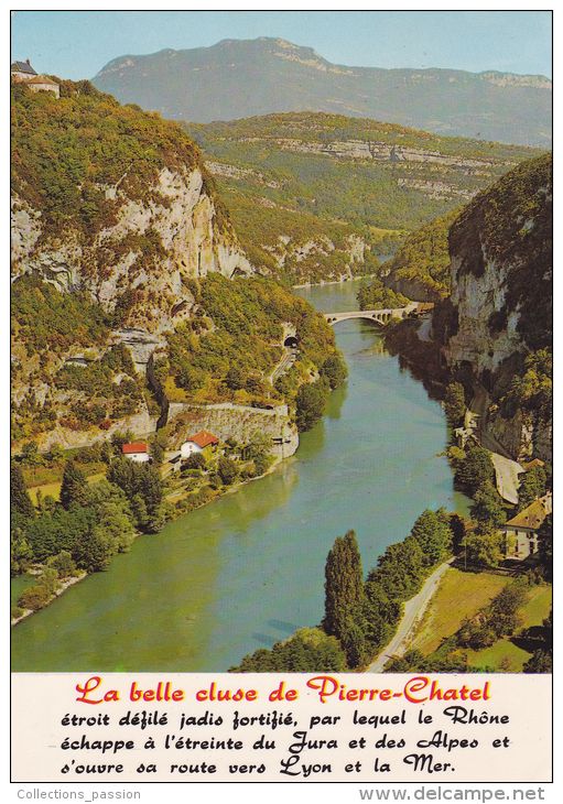 Cp , 73 , Le Défilé De PIERRE CHATEL  Et Le Rhone ,  Au Centre Le Pont De La Balme - Yenne