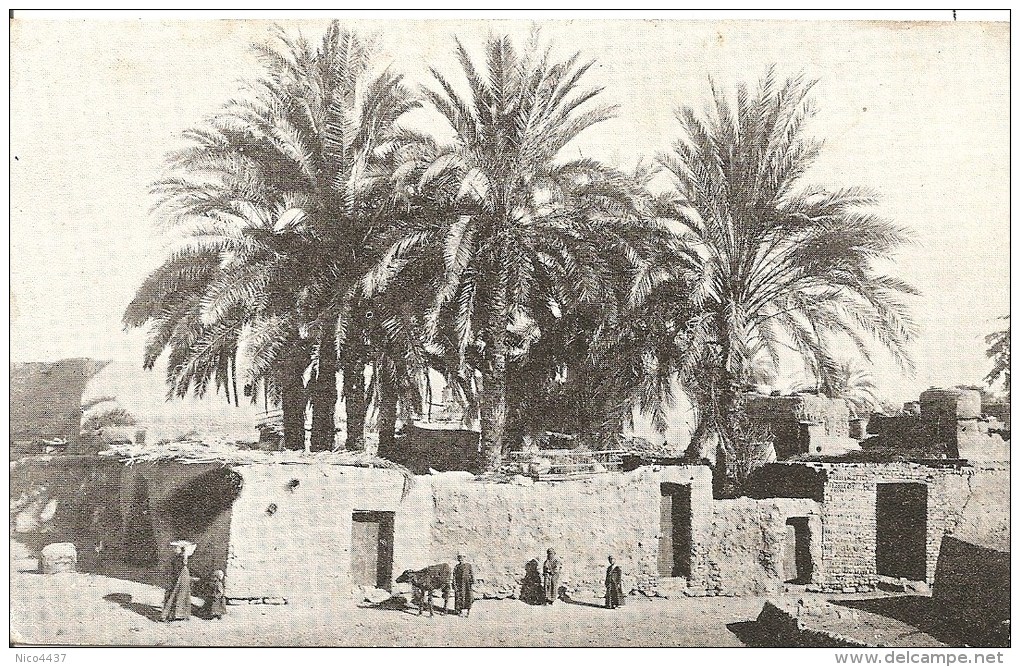 Cpa Luxor Native Village - Louxor